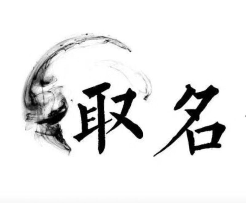  嘉善宝宝取名 大师一对一人工起名